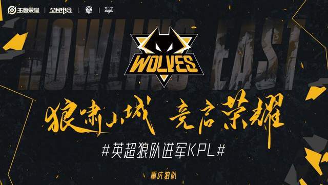 指出 指出